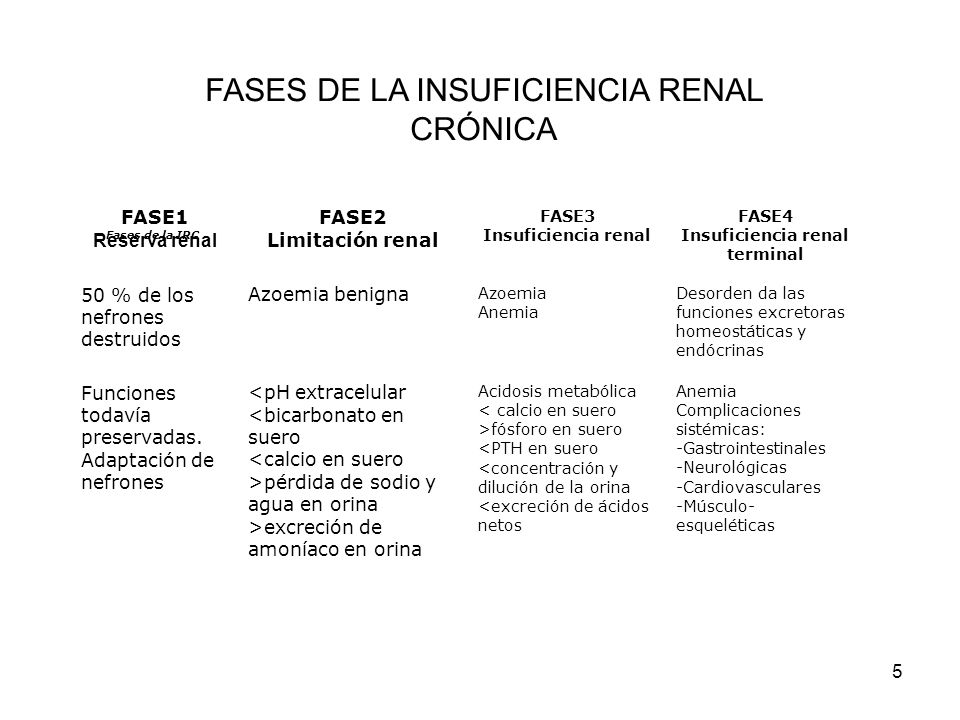 dieta hipoproteica en insuficiencia renal cronica